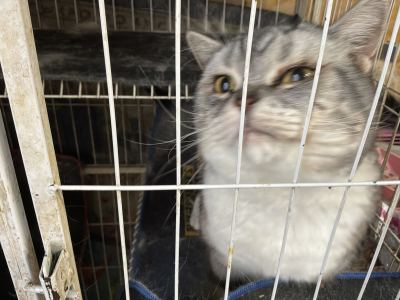 131****9118的钢琴谱