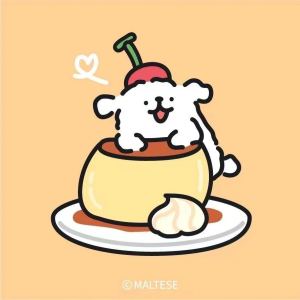 情绪粑粑的个人空间