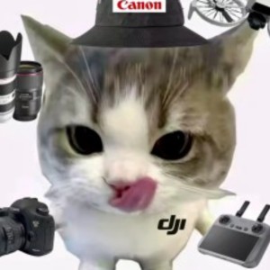 千本桜的演奏视频