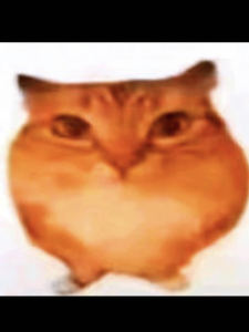 GTI·监督者·首领的个人空间