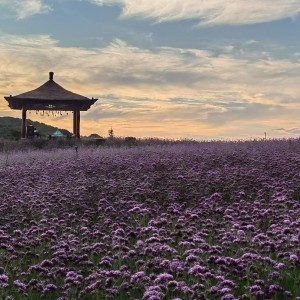 135****9112的钢琴谱