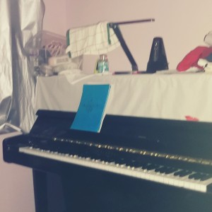 毛毛的个人空间