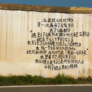 Call Of Silence的演奏视频