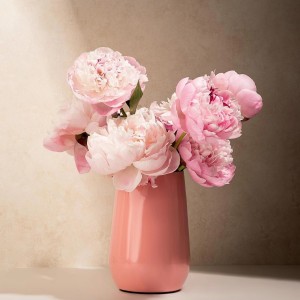 无名氏的个人空间