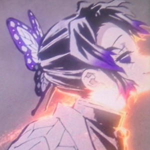 胡蝶忍（非语c）(>v<)的个人空间