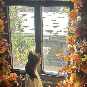 我想你应该是被我电到了(真心)的钢琴谱