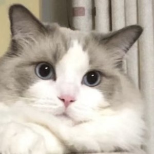 135****2303的个人空间