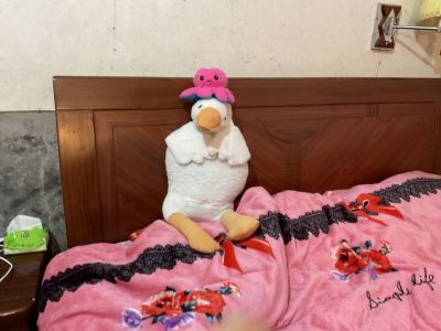 欣欣的个人空间