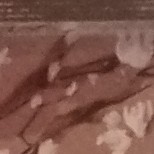 有没有可能我是个Gay的个人空间