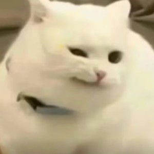 吴邪…无邪的钢琴谱