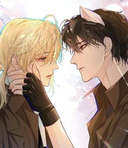 小章鱼蹲腿的钢琴谱