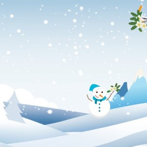 鸟之诗的演奏视频