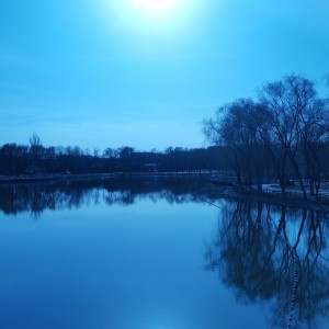 说了再见的演奏视频