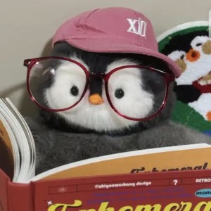 章鱼小丸子的个人空间