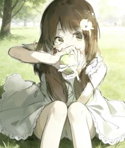 花日 Flower Day的演奏视频