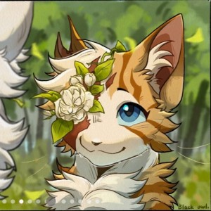 『(石榴)十六』sheep-♠Q的钢琴谱