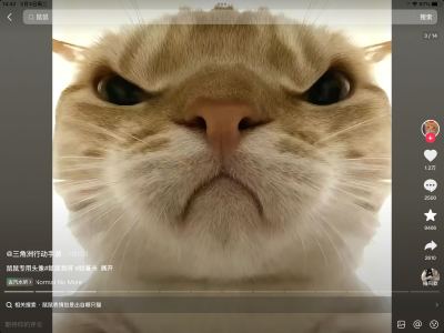 sheep煊哥（破100粉丝中）的钢琴谱