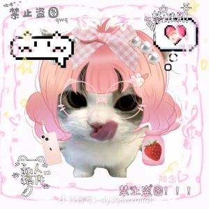 落了白的演奏视频