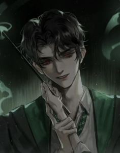 斯莱特林的🐍的个人空间