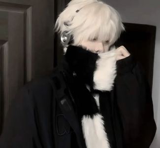 Forest Mixtape的演奏视频