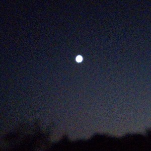 138****2565的钢琴谱