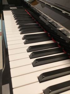 ~✨星遥?～的个人空间