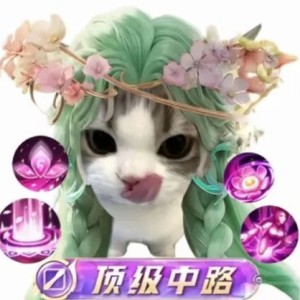 v瑶瑶公主昵v的钢琴谱