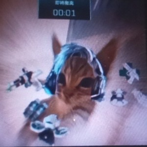 183****7579的个人空间