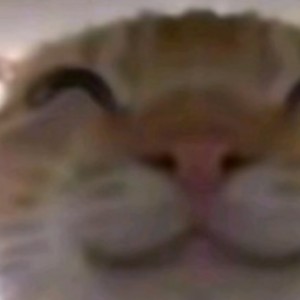 [暗·白] 坠吟阁 领导人 斓俞的钢琴谱