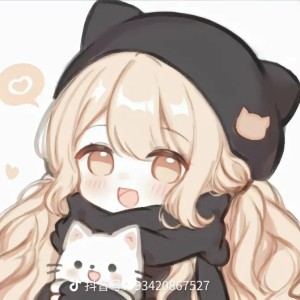 卡农的演奏视频