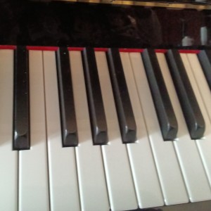 131****2886的钢琴谱