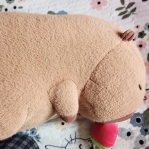 车尔尼599 No.12的演奏视频