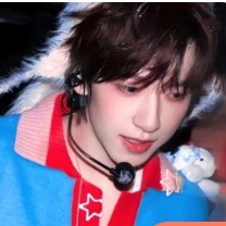 半枝桃🍍的钢琴谱