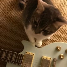 158****9662的钢琴谱