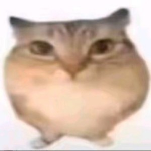 [M.E.G]雷霆大猪咪的个人空间