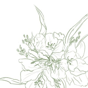 林林总总的钢琴谱