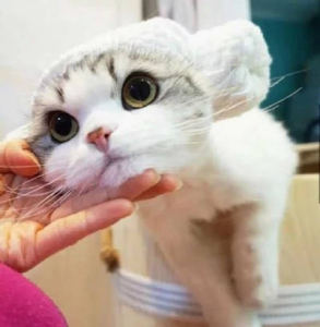 朵朵的个人空间