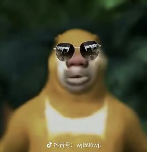 199****8996的个人空间