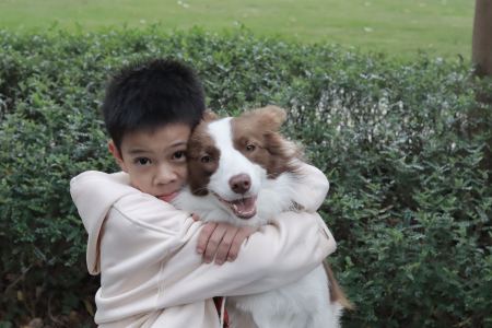 Dream的个人空间