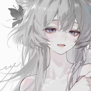 【大明】流星雨🍀的钢琴谱