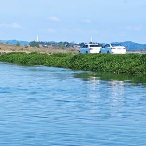 173****2210的钢琴谱