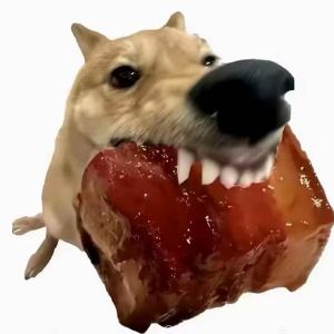 糕蛋的钢琴谱