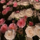 137****1096的钢琴谱