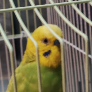 网球🥎🥎的个人空间