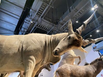 微微一笑很倾城的演奏视频