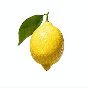 ༄༅得意白.༩🍋的个人空间