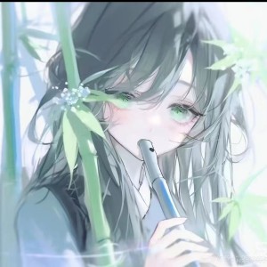 谁家的演奏视频