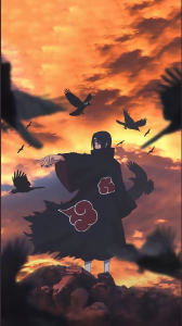 破茧的演奏视频