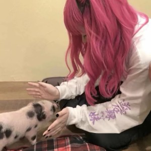 光明的世界啊我躲在阴冷的角落的钢琴谱