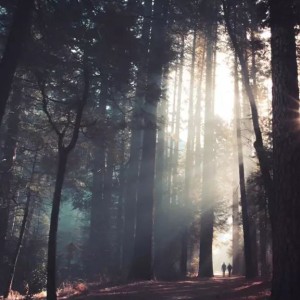 好像没有的钢琴谱